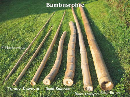 Bild zeigt unsere Bambusrohre in 2 m Länge, 4 m Länge & 6 m Länge Produktfoto